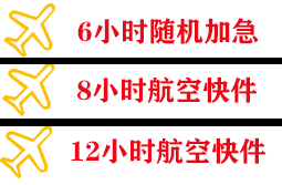音布鲁克机场快递快递公司,专业空运当天件